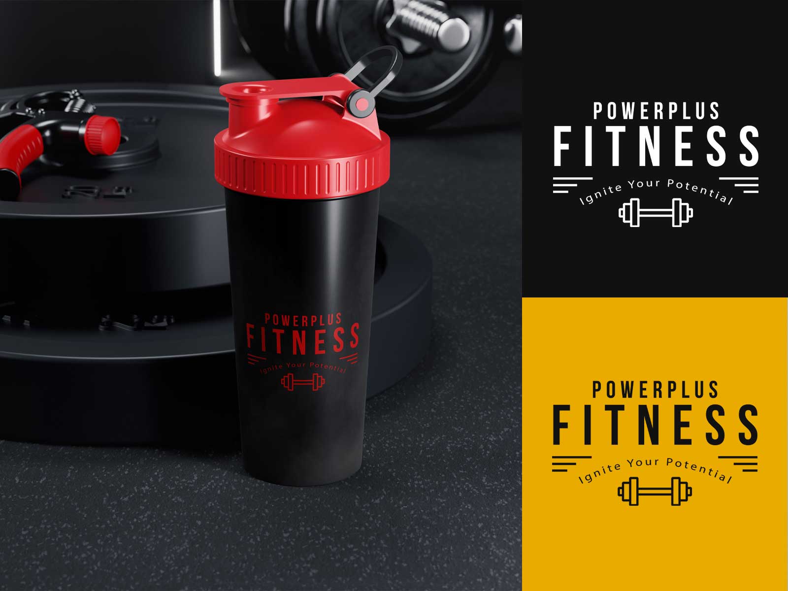 Logo/Branding